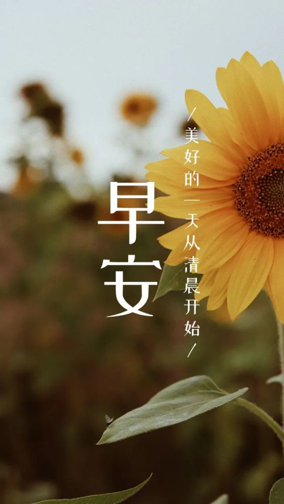 早安励志图片心语正能量