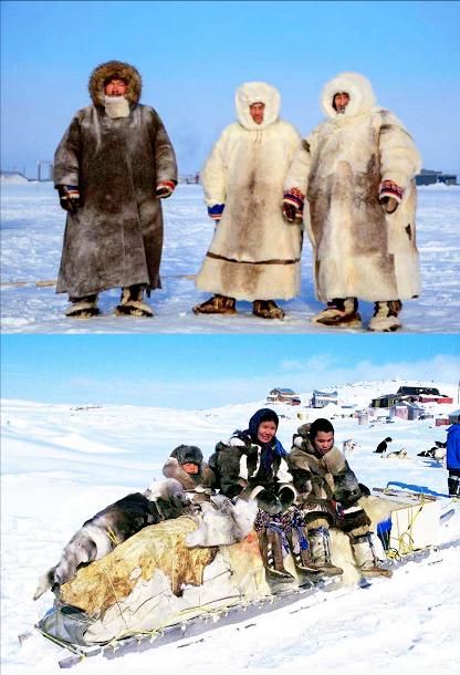 因纽特人问马赛人:我也每天都吃肉,为什么你那么高?_腾讯新闻