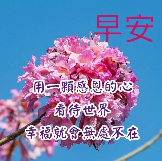 友谊的早安图片带字图片