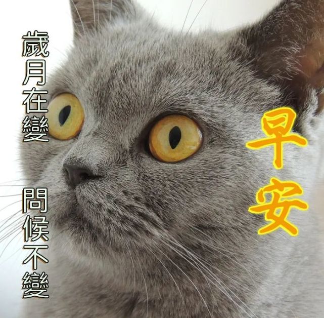 早安问候语图片带字 早上好的问候语