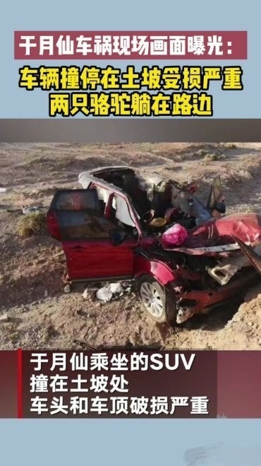 于月仙车祸去世遭网暴网友心疼两只被撞死的骆驼留言骂她活该