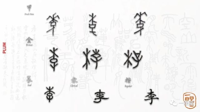 汉字趣谈: 李(371)|汉字|李子|甲骨文