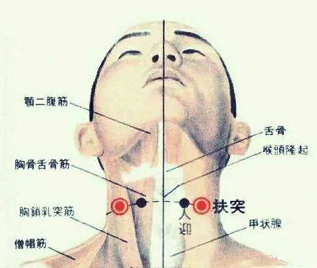 5寸,胸鎖乳突肌後緣,左右計2穴