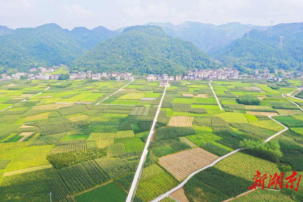 走进乡村看小康丨红土地上的小康村——龙山县茨岩塘镇甘露村见闻