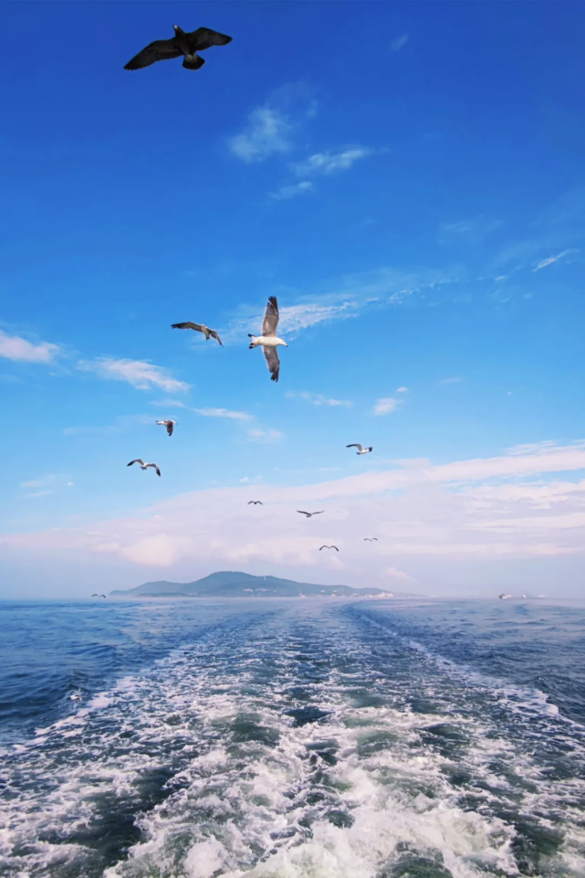 秋意初来一起去威海云游必去的山海仙境吧