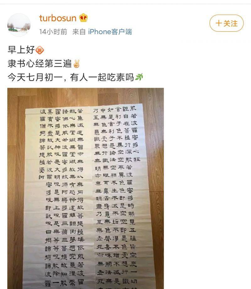 孫儷曬自己手寫隸書心經