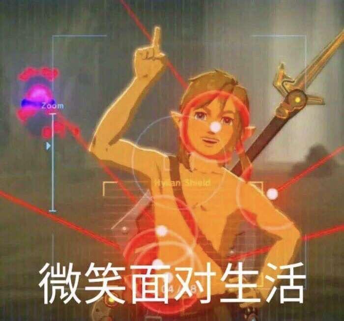 塞尔达传说荒野之息搞笑图片合集