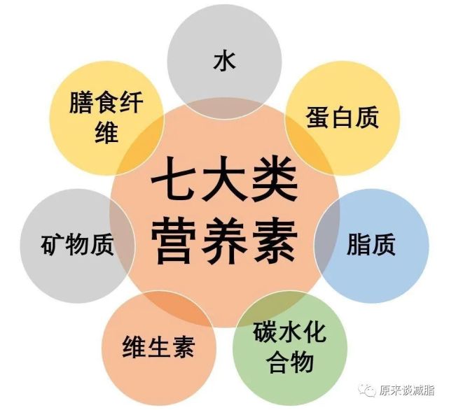 人体所需要的营养素分为7大类:第2个问题  人体所需的7大营养素是什么