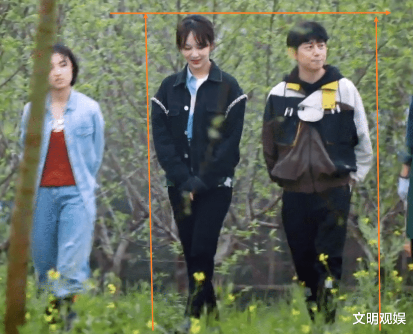 杨紫的脸太会"骗人",当她与张子枫何炅走一起,身高让人看傻眼