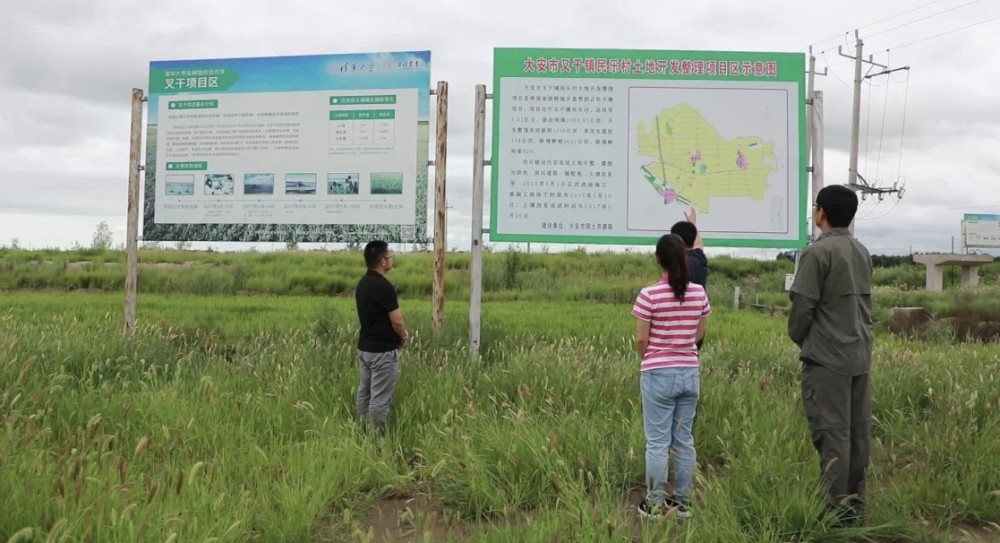 大安市"碱巴拉"吃上"营养套餐,盐碱地变稻香田