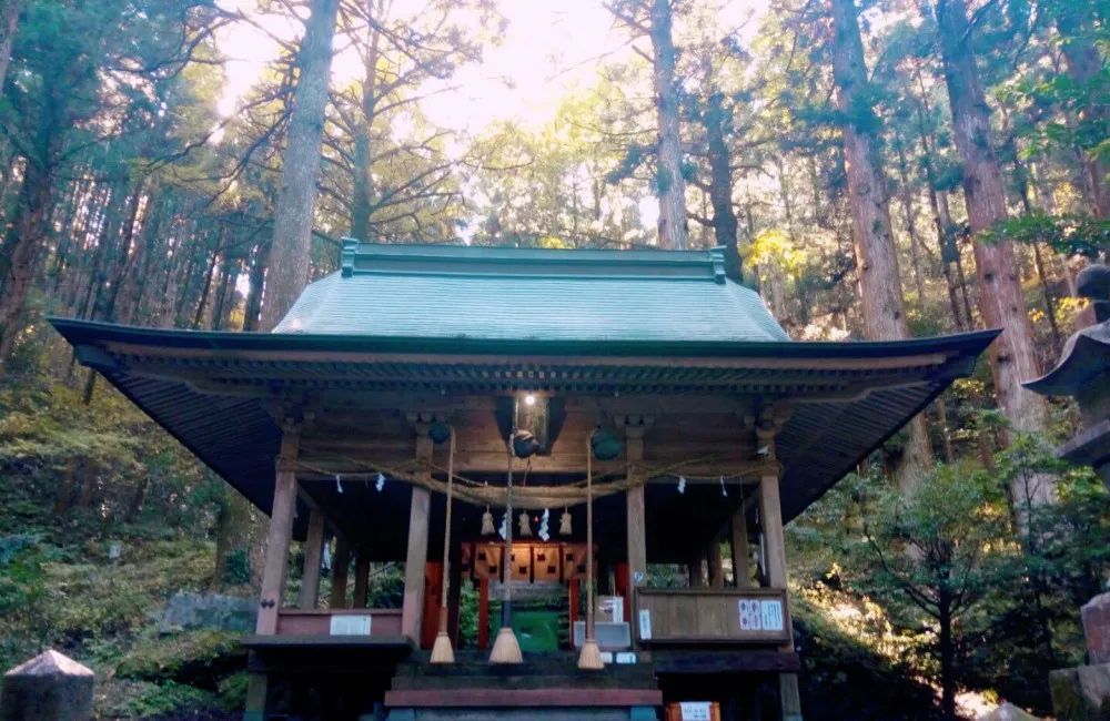 蒙德神殿（什么时候打开蒙德神殿最好）