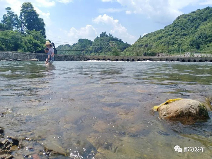 50岁的罗大姐家住在墨冲镇河源村,现在当上奶奶的她一到太阳快下山时
