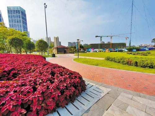 探访千水湖公园:内江城市生态亲水景观_腾讯新闻