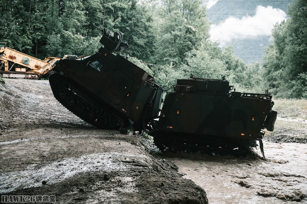 bvs10全地形车与早期的bv206接近,前车两侧有四个车门,后面两个车门没