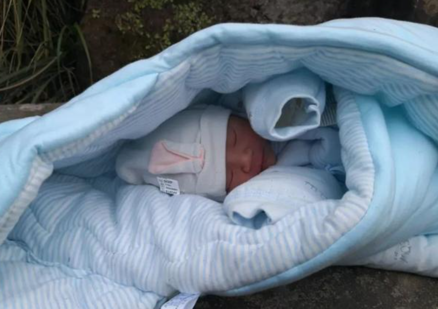 世界首富领养长沙女孩要求每周花30万有钱任性还是养娃有道