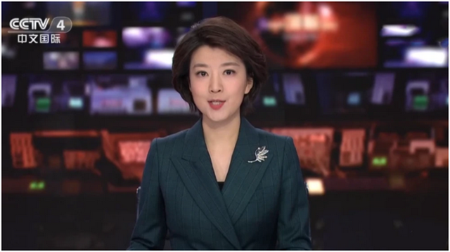 身影开始出现在多个节目里,比如《权威发布》,《今日环球》等有名的