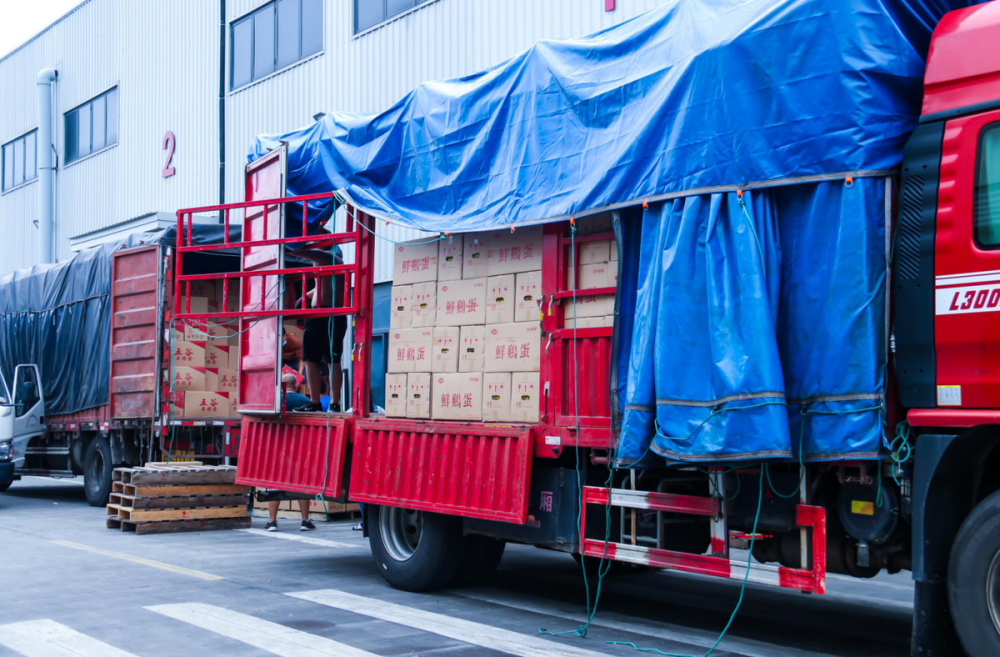 每斤涨1元,今夏鸡蛋市场不"蛋"定!预计本月中下旬回落_腾讯新闻