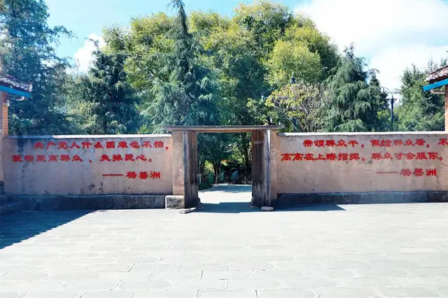 风雨听绿—善洲林场游