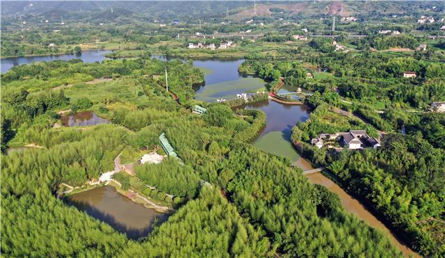 重庆梁平:寻觅三峡竹博园的幽静怡然