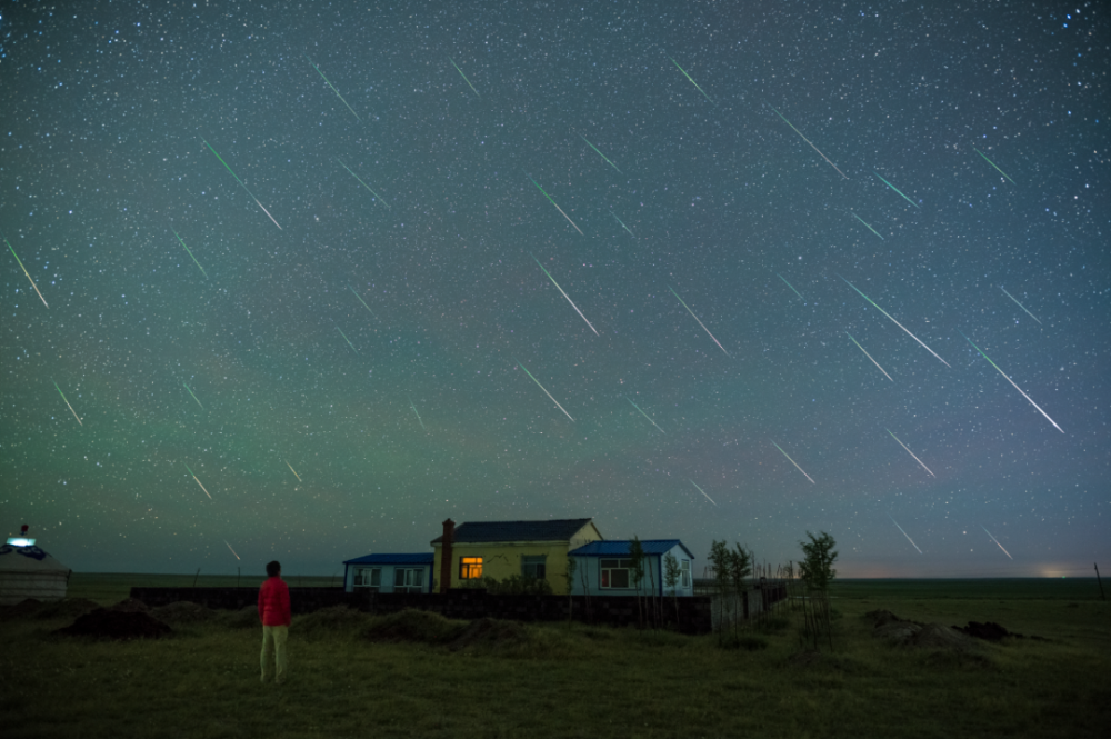 期待 就在8月13日 全网搜