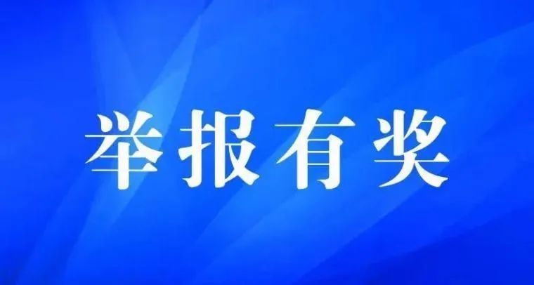 执行隔离)人员线索,经查证属实,将按对应标准对举报人予以一次性奖励