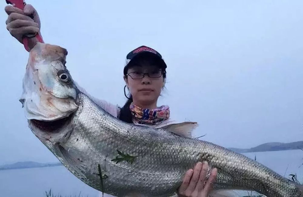 鱼竿还在买全套骗的就是你这样的钓友