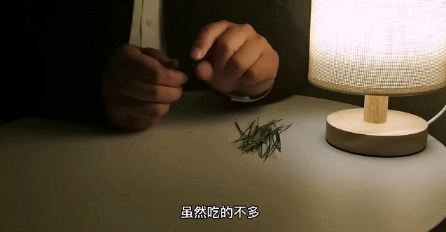 我去體驗了催眠減肥法結果你猜怎麼著