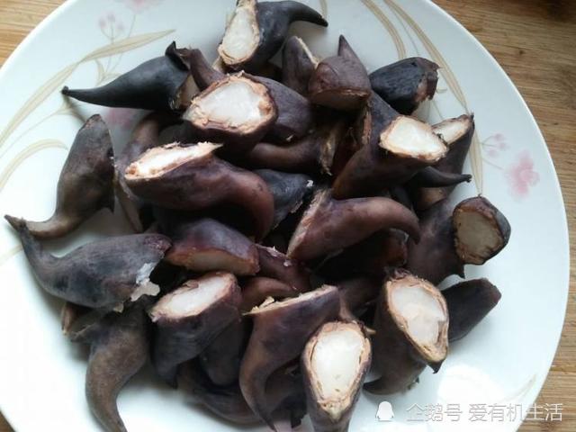 七夕将至台山人七夕要吃菱角你吃过吗