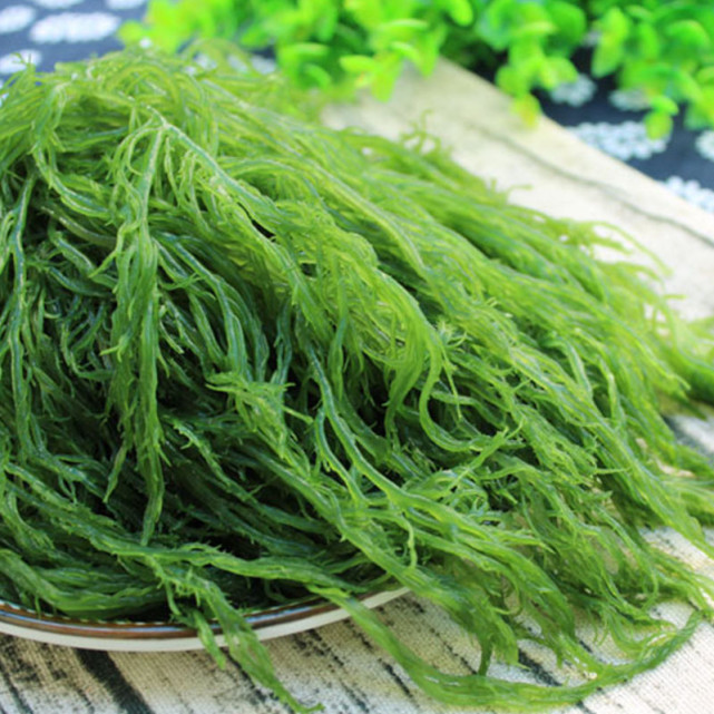 海草海草随浪飘荡,龙须菜就是这样在海浪中自由自在生长,而且还没有