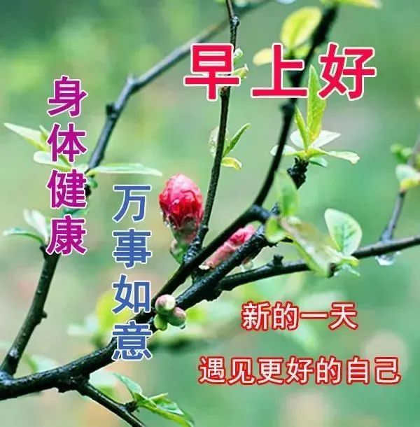 早上好溫馨祝福句子漂亮早上好唯美動畫祝福圖片帶字