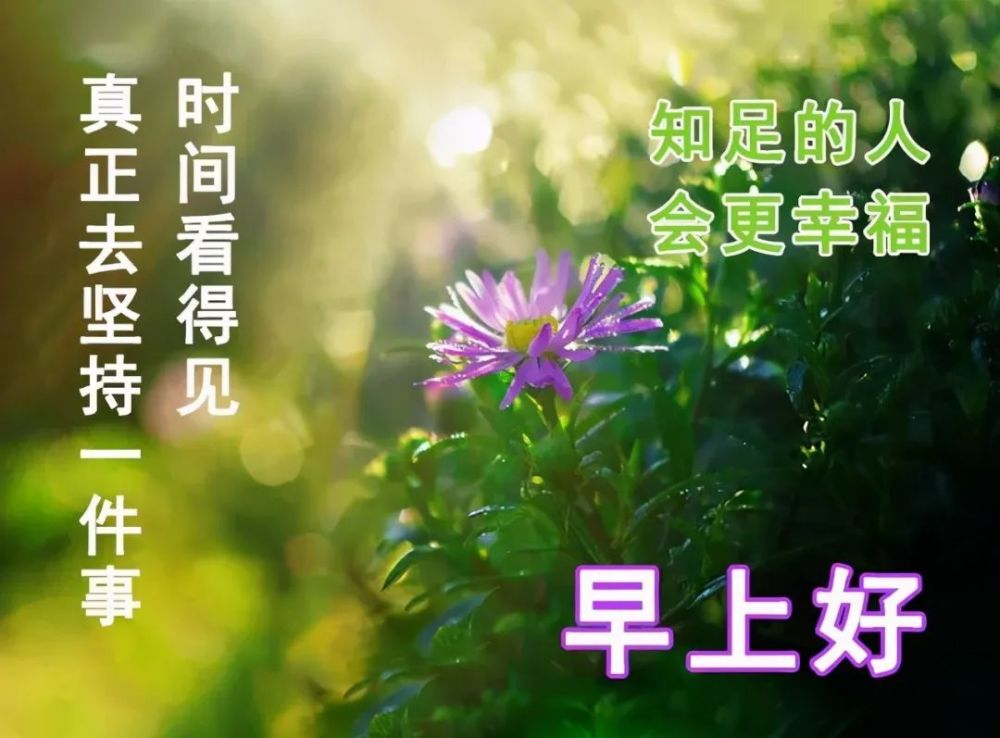 早上好朋友最新早上好動態圖片帶鮮花早上好動態表情圖片大全