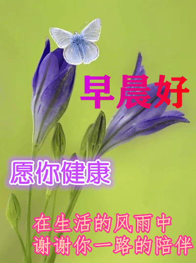 3月14日最漂亮早上好动态表情图片大全,早上好动图美图大全|友谊