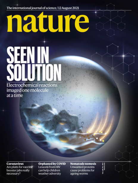 Nature封面 新型超高分辨率显微镜 像数星星一样观察分子 全网搜
