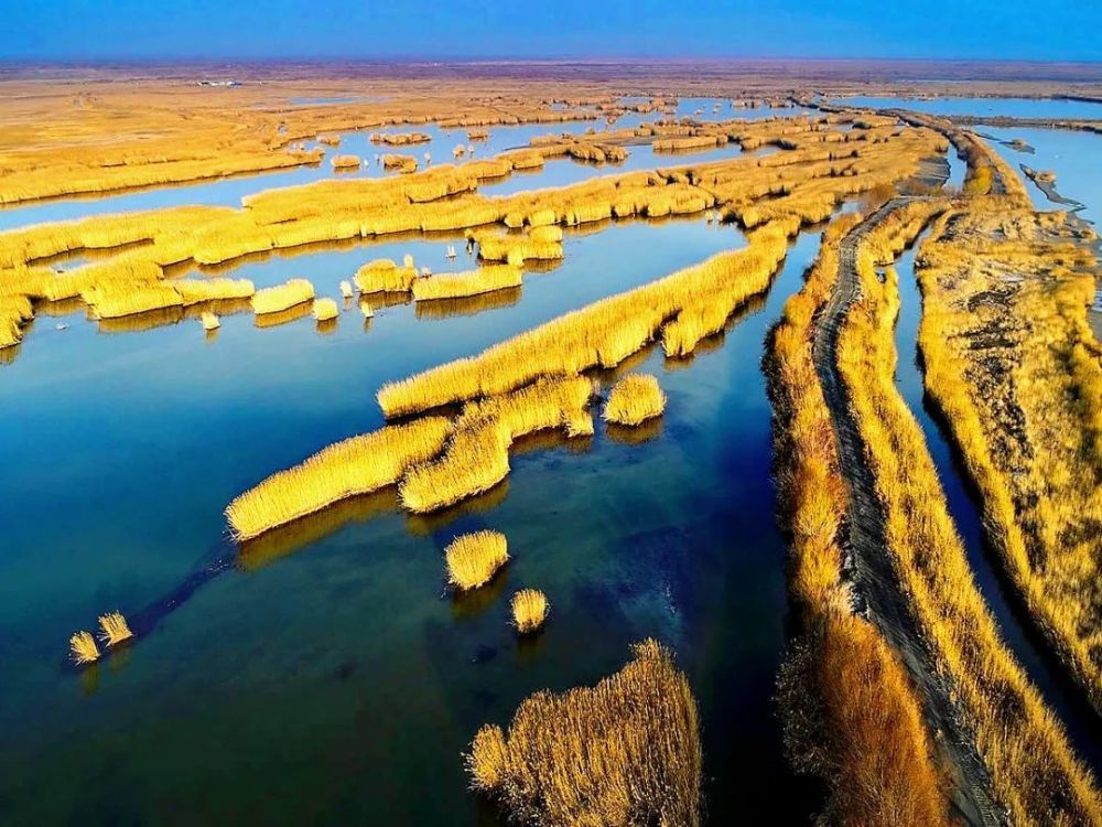举个例子,位于甘肃省敦煌市西北33多公里的哈拉诺尔湖历史上面积最大