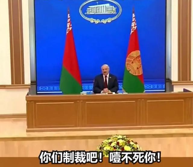 白俄总统发飙怒斥BBC图片