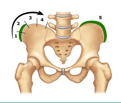 18岁女生因睡姿不对导致脊柱严重侧弯?睡姿真有这么大破坏力?_腾讯新