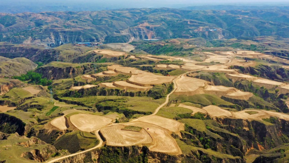 西北旱地里的杂粮传奇