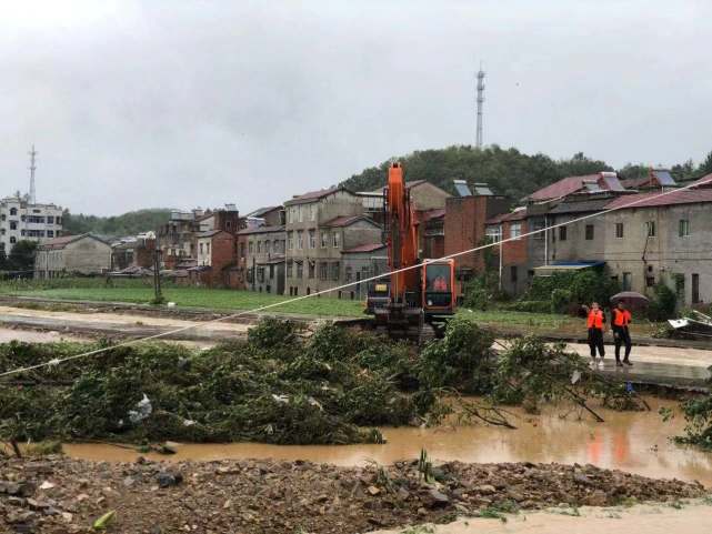 随州柳林镇洪水图片