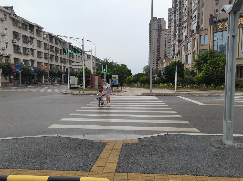 斑马线尽头竟是绿化带追踪丨绿化带妥协斑马线与人行道接上了