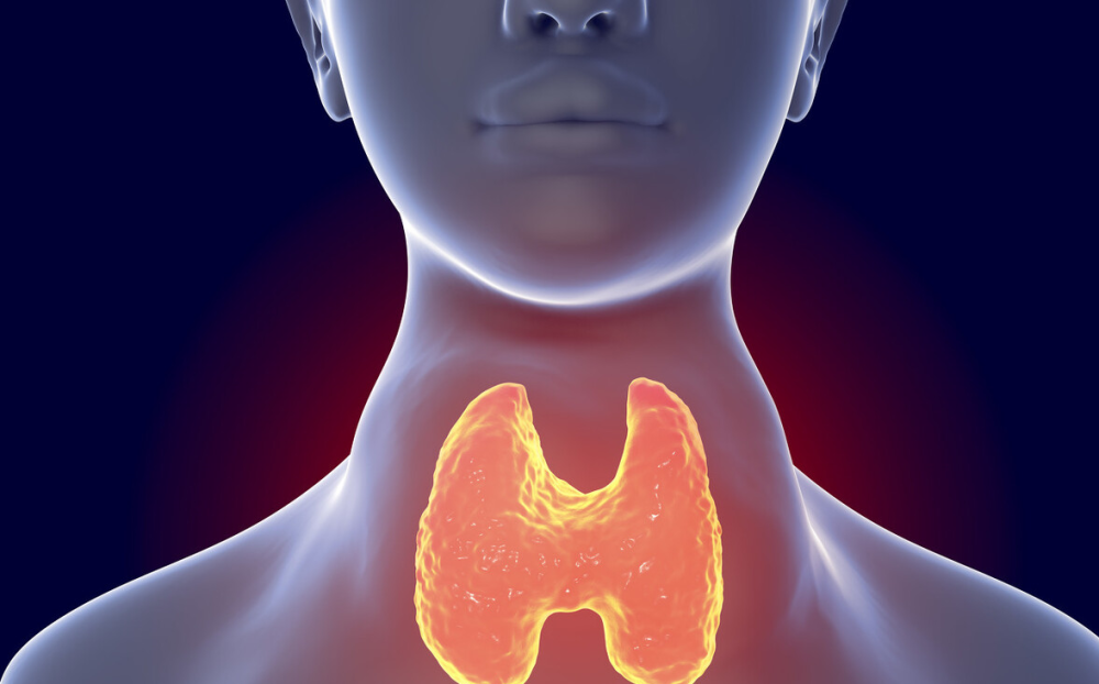 是的,等我们肉眼看得出来的时候甲状腺已经算是很大了,而且,还有一种