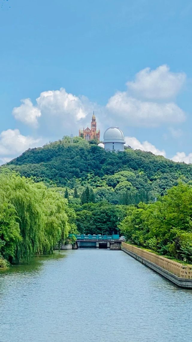 人文佘山丨夏日佘山有什么?