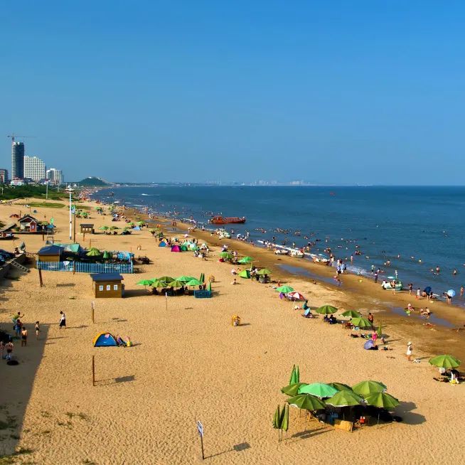 来昌黎挖蛤拾贝这份赶海指南可收好了