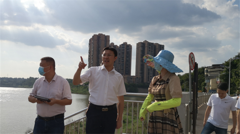 靳地胜一行先后来到龙马潭区胡市镇和金龙镇,实地查看沿江,沿河低洼