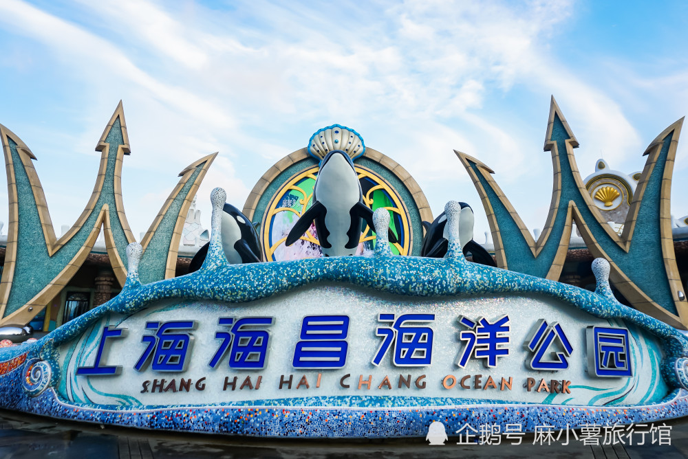 在上海海昌海洋公园共度七夕 腾讯新闻