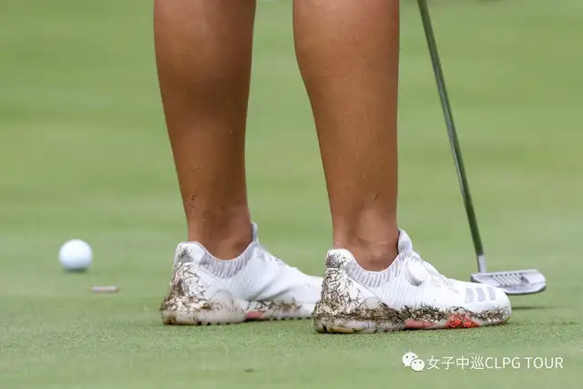 世界职业排行榜_职业拳击世界排名更新:中国一哥徐灿排名上升,第一无可争议