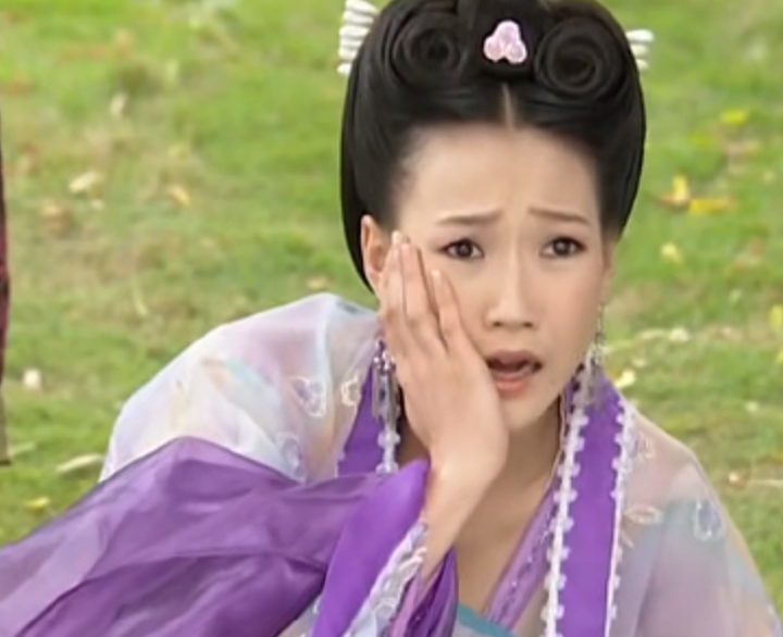 被大众熟知,曾经在电视剧《至尊红颜》里饰演萧淑妃,和贾静雯同台飙戏