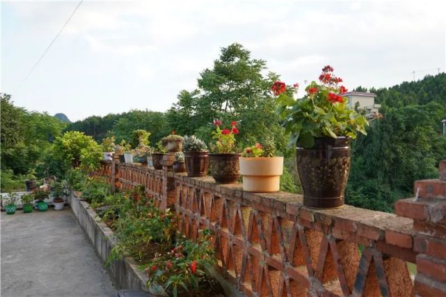 玉屏八旬老人闲不住最美庭院有温度