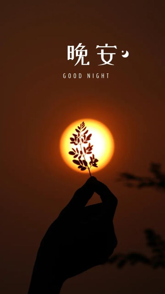 睡前发朋友圈晚安心语心情句子