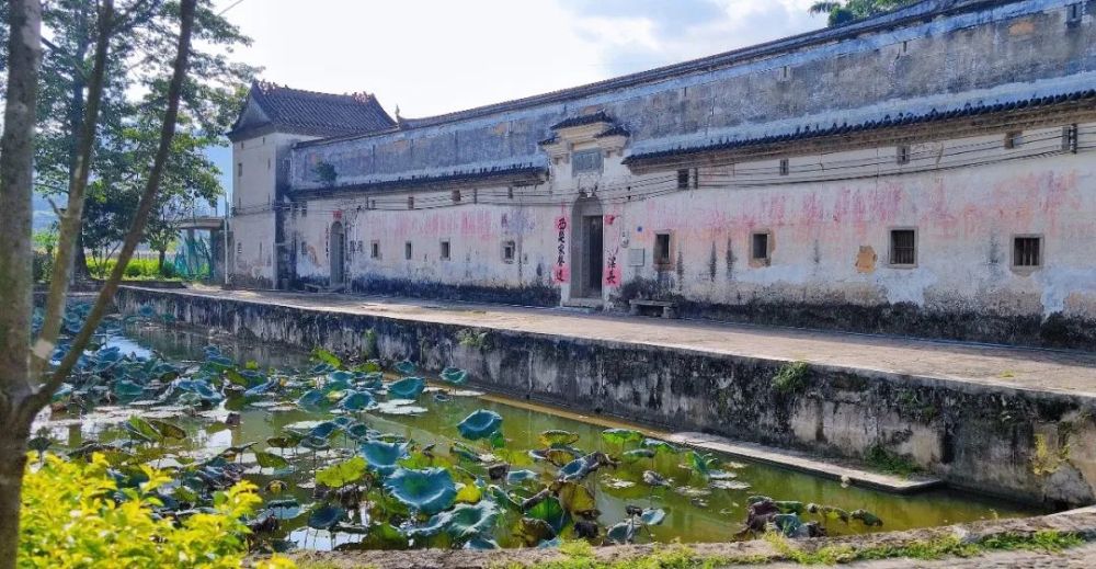 党史学习实践之走进周田村-叶亚来,廖似光篇