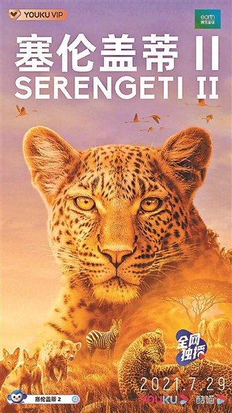 塞伦盖蒂第二季免费图片